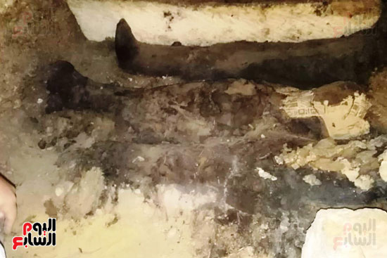 المومياوات المكتشفة بمقابر تونة الجبل فى المنيا (18)