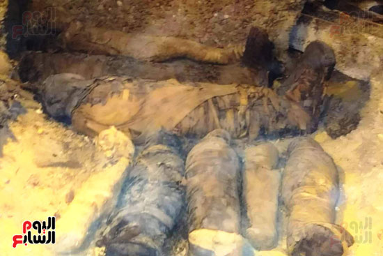 المومياوات المكتشفة بمقابر تونة الجبل فى المنيا (23)