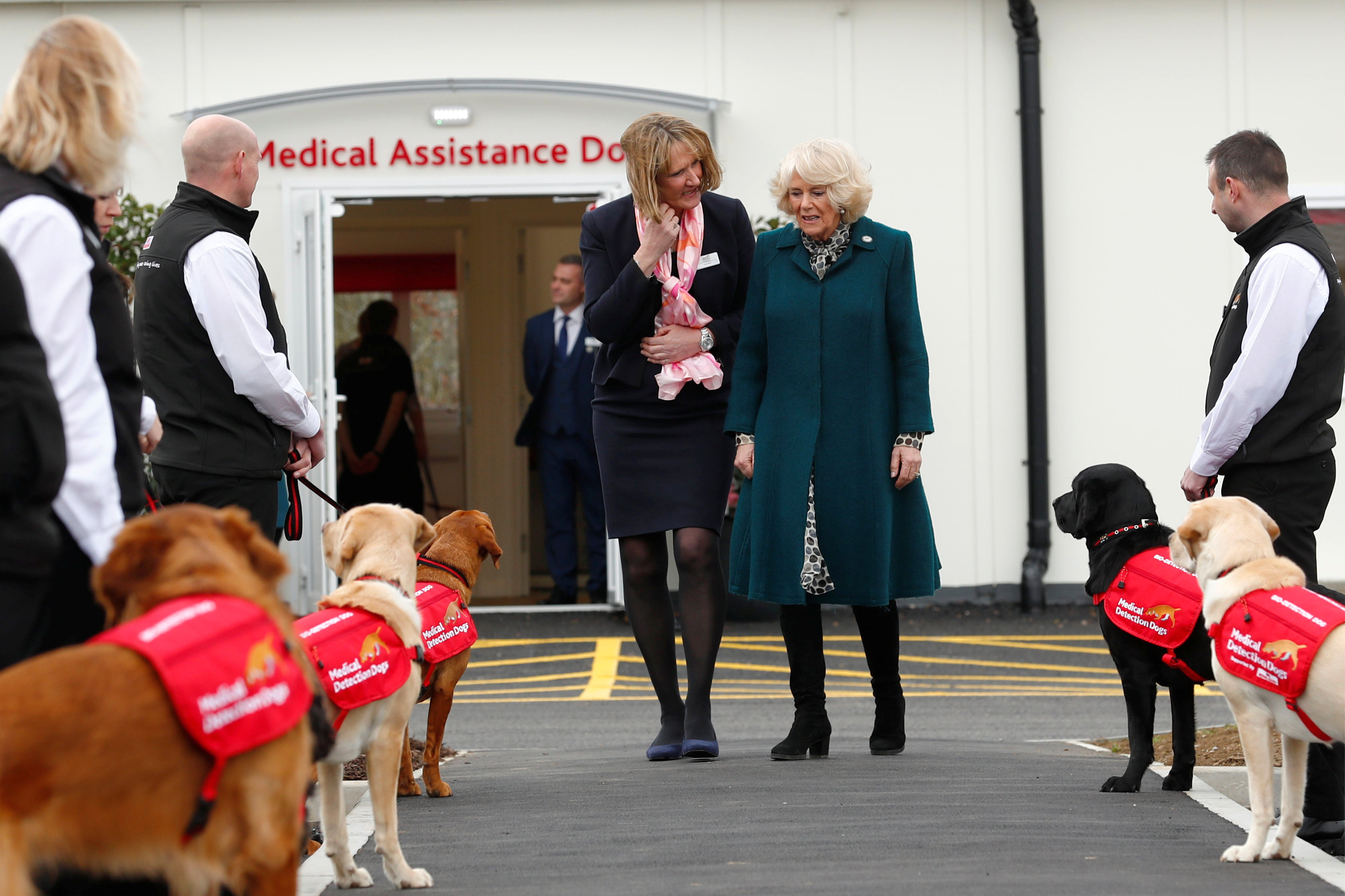 زوجة الأمير تشارلز تتفقد الكلاب نزلاء المستشفى