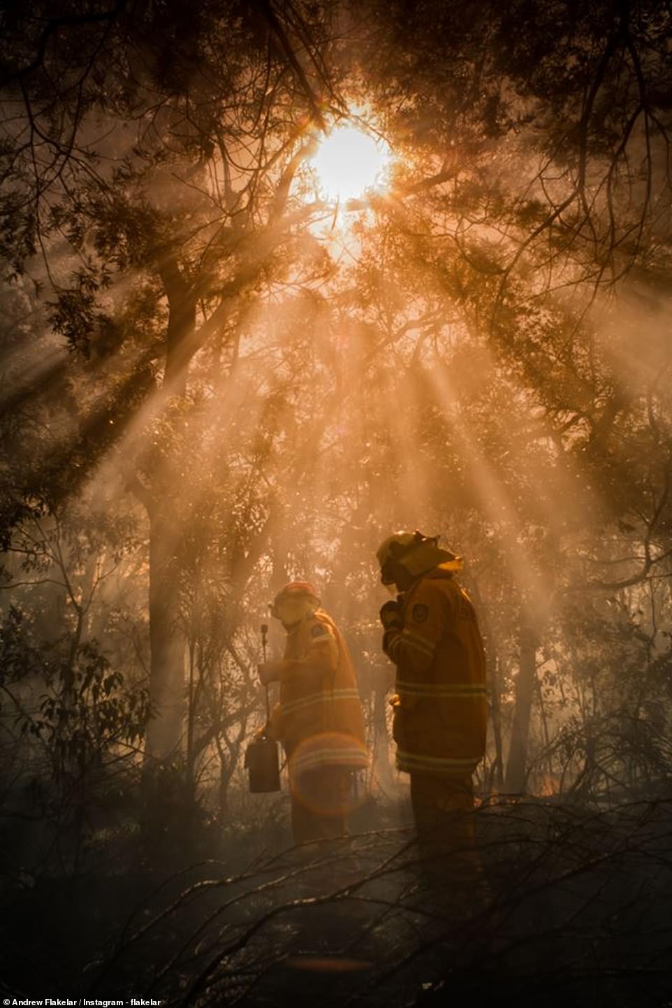 رجال الإطفاء يواجهون النيران فى غابات أستراليا  (1)