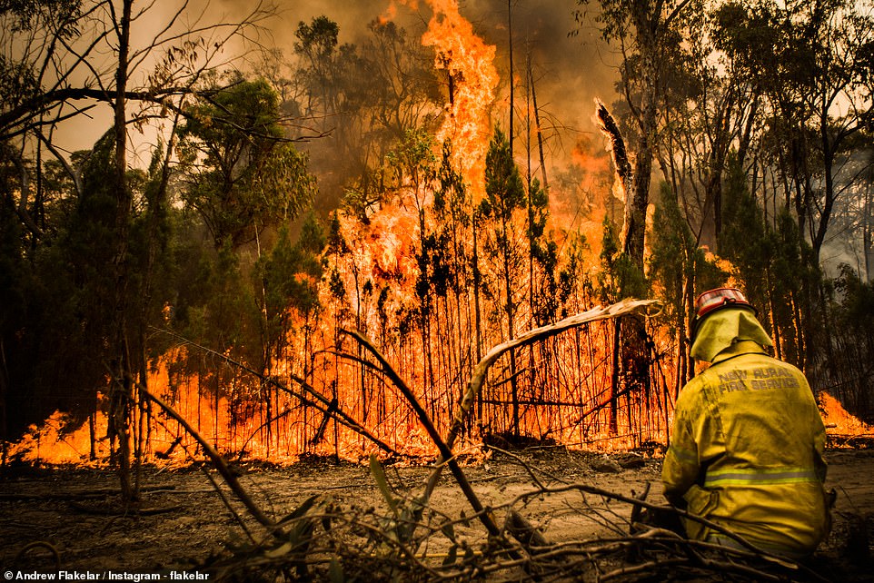 رجال الإطفاء يواجهون النيران فى غابات أستراليا  (2)
