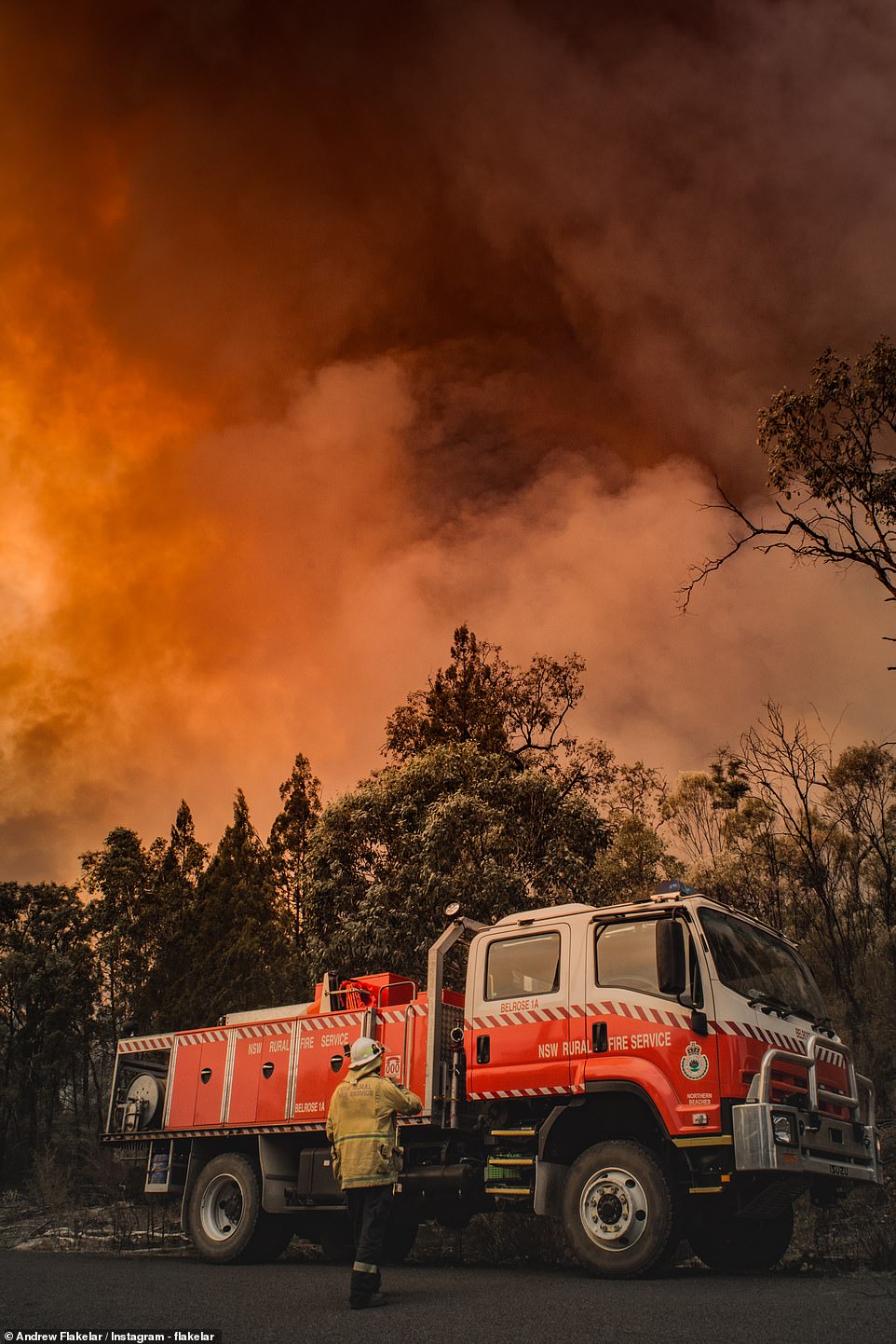 رجال الإطفاء يواجهون النيران فى غابات أستراليا  (5)