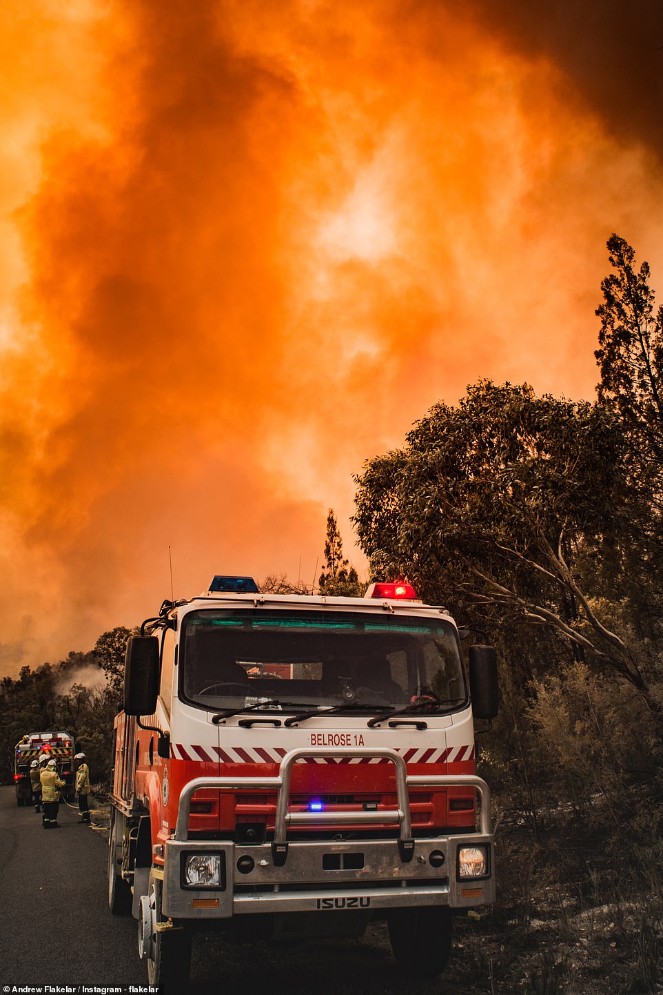 رجال الإطفاء يواجهون النيران فى غابات أستراليا  (4)