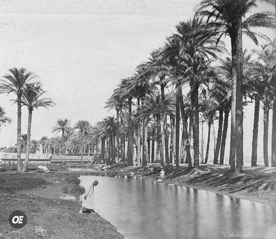 صورة قديمة لحى بولاق عام 1870