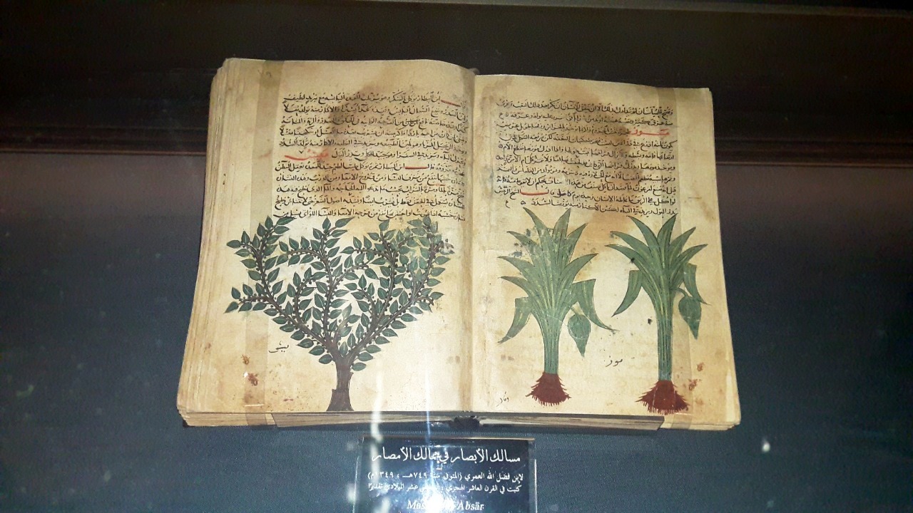 9 مخطوطات نادرة تعود للقرن الخامس بمكتبة الإسكندرية (20)