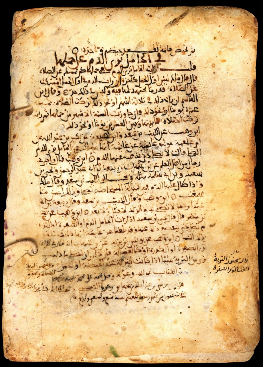 9 مخطوطات نادرة تعود للقرن الخامس بمكتبة الإسكندرية (18)