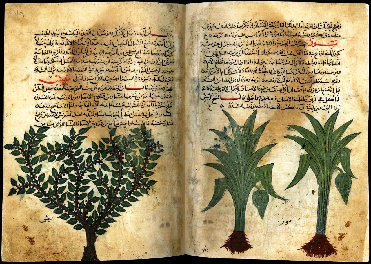 9 مخطوطات نادرة تعود للقرن الخامس بمكتبة الإسكندرية (1)