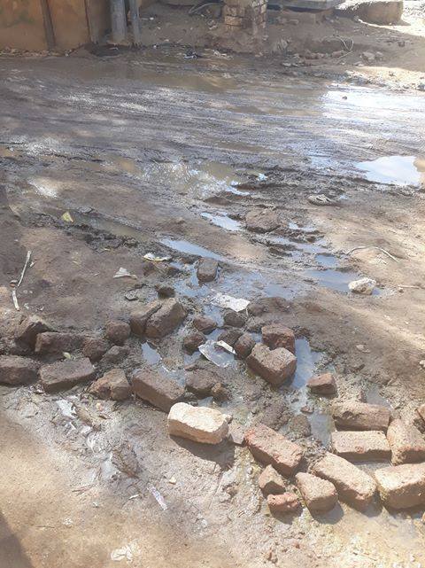 غرق شوارع قرية فأوقبلى مركز دشنا فى قنا بمياه الصرف الصحى   (1)