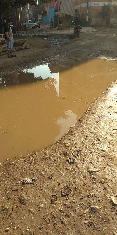 غرق شوارع قرية فأوقبلى مركز دشنا فى قنا بمياه الصرف الصحى   (3)