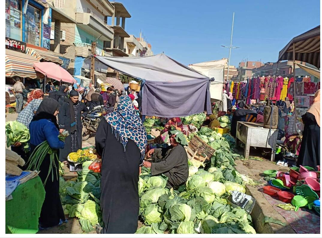 سوق الثلاثاء بمدينة أولاد صقر بالشرقية (2)