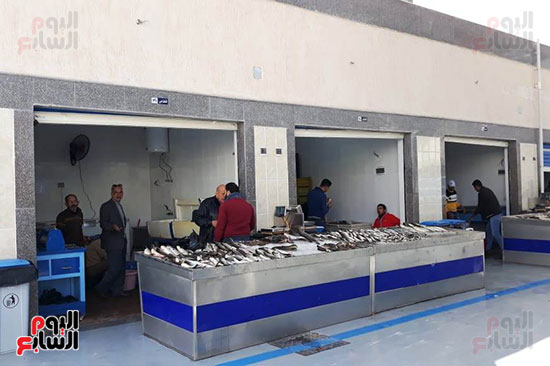 سوق-السمك-الجديد-ببورسعيد-(5)