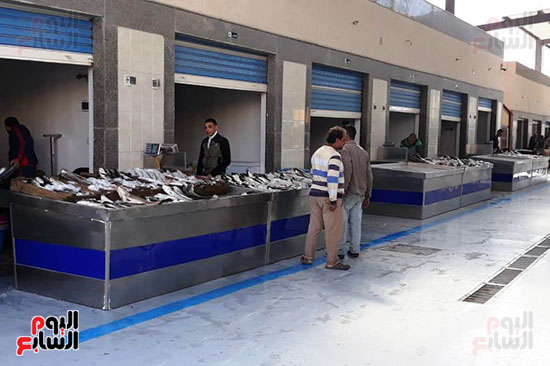 سوق-السمك-الجديد-ببورسعيد-(2)