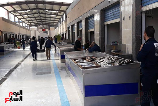 سوق-السمك-الجديد-ببورسعيد-(16)