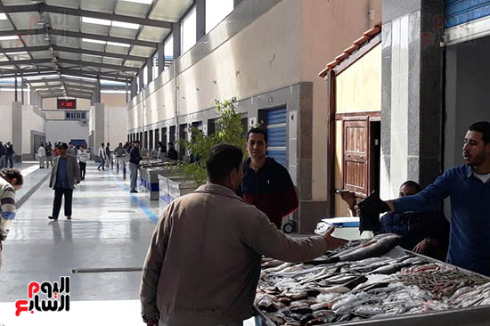 سوق-السمك-الجديد-ببورسعيد-(4)