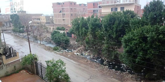 استمرار-سقوط-الأمطار-على-قرى-ومدن-محافظة-القليوبية-(3)