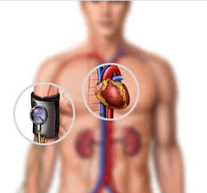 High blood pressure impact on its & # 39; body