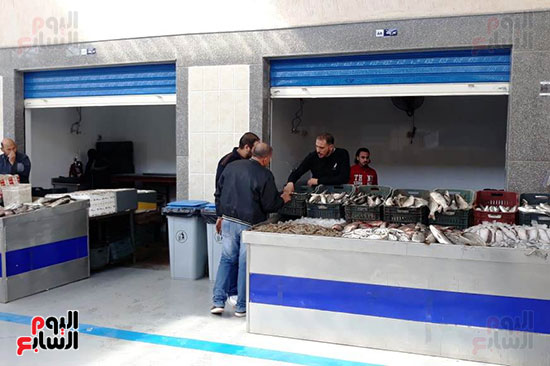 سوق-الأسماك-الجديد-بمحافظة-بورسعيد--(15)