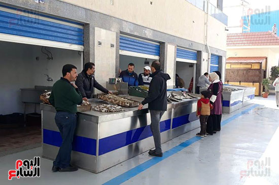 سوق-الأسماك-الجديد-بمحافظة-بورسعيد--(4)