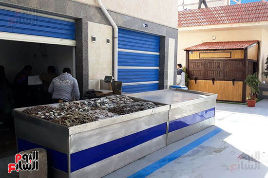 سوق-الأسماك-الجديد-بمحافظة-بورسعيد--(11)
