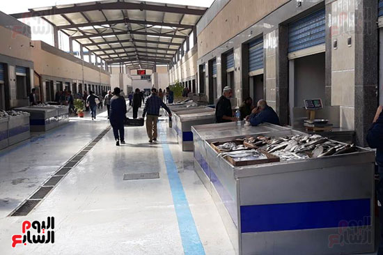 سوق-الأسماك-الجديد-بمحافظة-بورسعيد--(17)