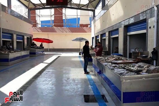 سوق-الأسماك-الجديد-بمحافظة-بورسعيد--(7)