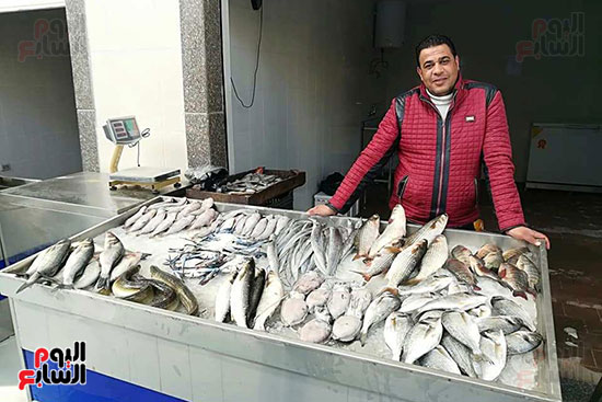 سوق-الأسماك-الجديد-بمحافظة-بورسعيد--(18)