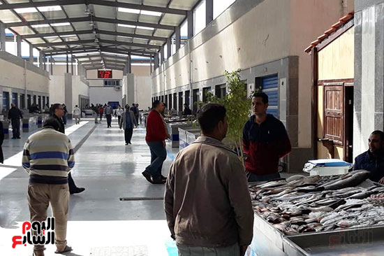 سوق-الأسماك-الجديد-بمحافظة-بورسعيد--(10)