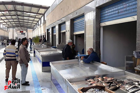 سوق-الأسماك-الجديد-بمحافظة-بورسعيد--(12)