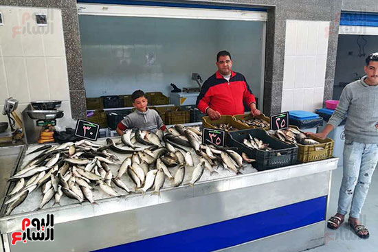 سوق-الأسماك-الجديد-بمحافظة-بورسعيد--(21)