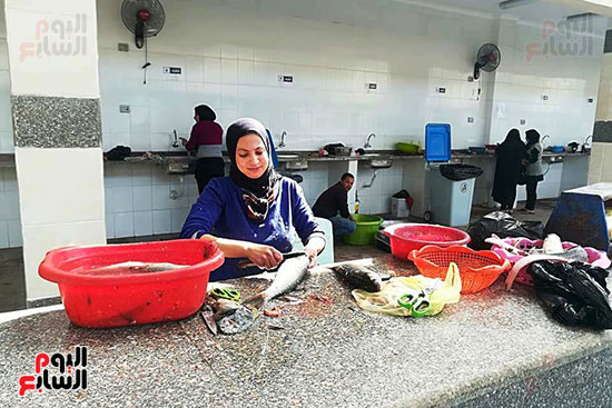 سوق-الأسماك-الجديد-بمحافظة-بورسعيد--(25)