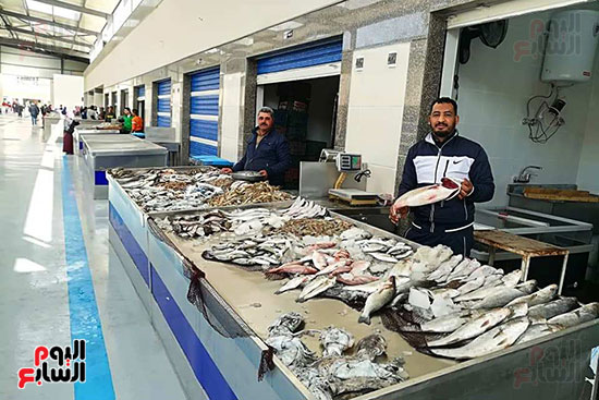 سوق-الأسماك-الجديد-بمحافظة-بورسعيد--(19)