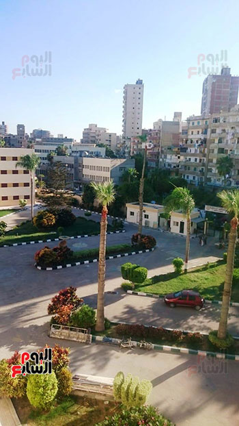 المدينة الجامعية بالإسكندرية (16)