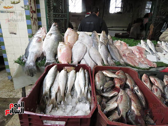 سوق السمك (34)