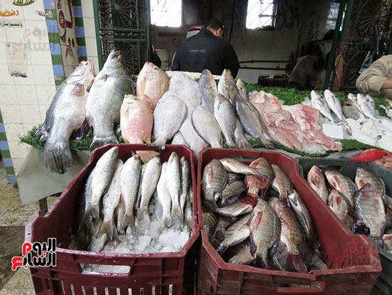 سوق السمك (35)