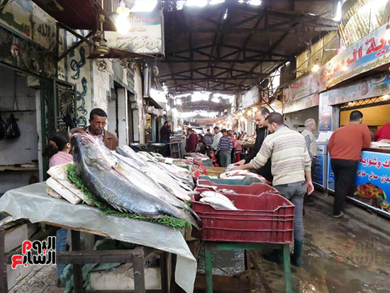 سوق السمك (36)
