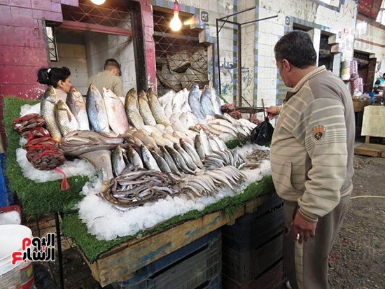 سوق السمك (9)