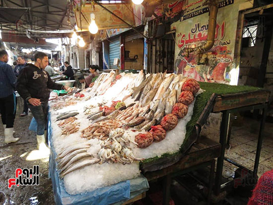 سوق السمك (13)