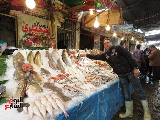 سوق السمك (11)