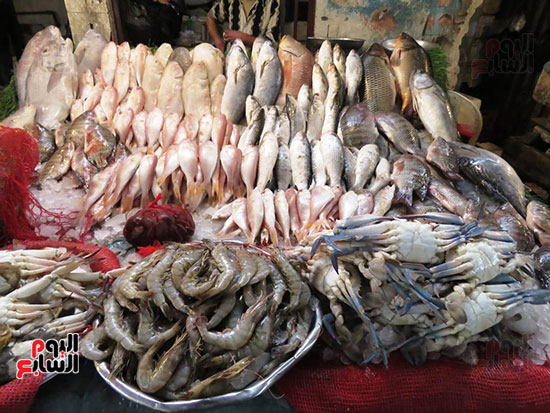 سوق السمك (12)