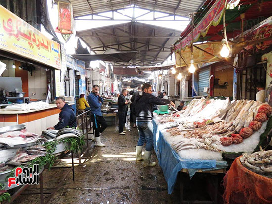سوق السمك (23)