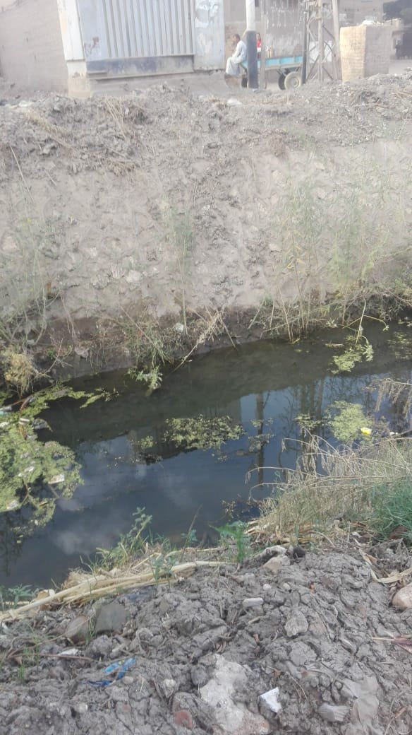 نقص مياه الري بالترع فى قرية المدمر بسوهاج (3)