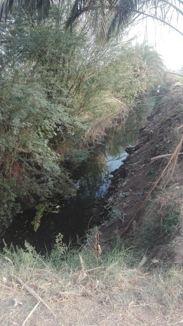 نقص مياه الري بالترع فى قرية المدمر بسوهاج (1)