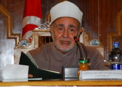 محمد سيد طنطاوى (6)