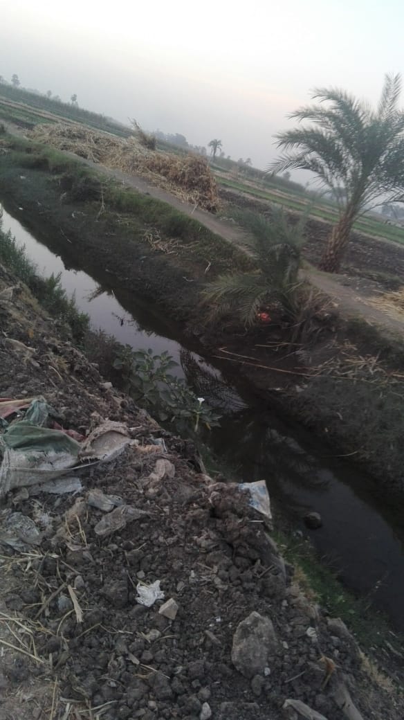 نقص مياه الري بالترع فى قرية المدمر بسوهاج (2)