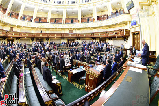 الجلسة العامة لمجلس النواب (6)