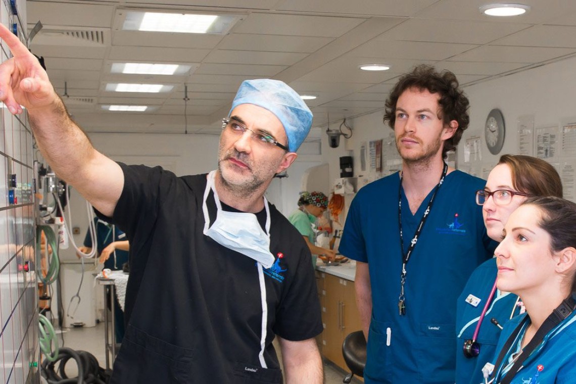 ليه الدكتور بيتجوز دكتورة؟!. (1)