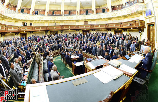 مجلس النواب الجلسة العامة (30)