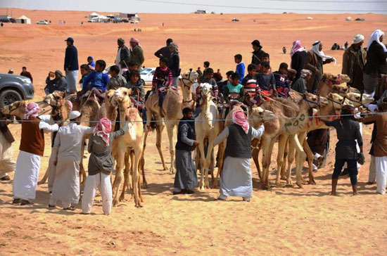 المهرجان الدولى الثامن عشر لسباقات الهجن بالإسماعيلية (10)