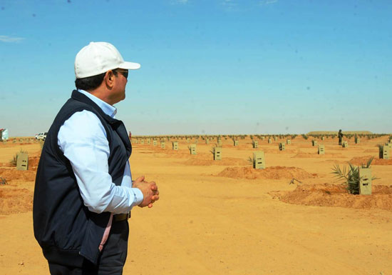 الرئيس السيسى يتفقد عدداً من المشروعات التنموية بمنطقة توشكى (5)