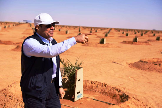 الرئيس السيسى يتفقد عدداً من المشروعات التنموية بمنطقة توشكى (3)